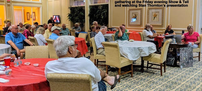 S&T Crowd